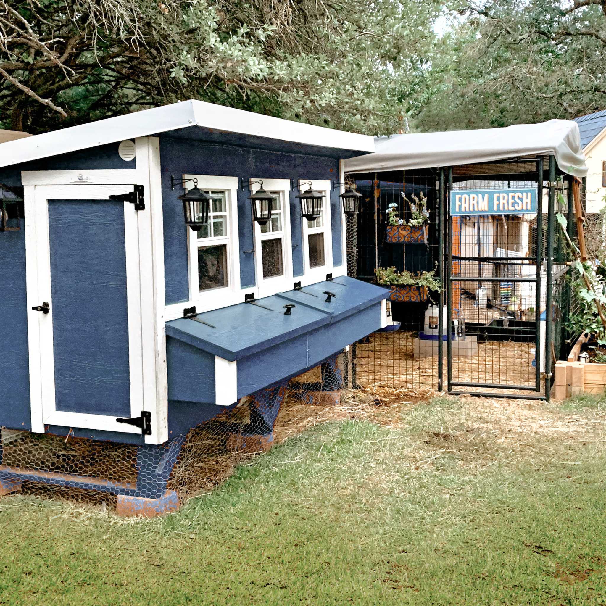 OverEZ Chicken Coop X-Large - Image 18