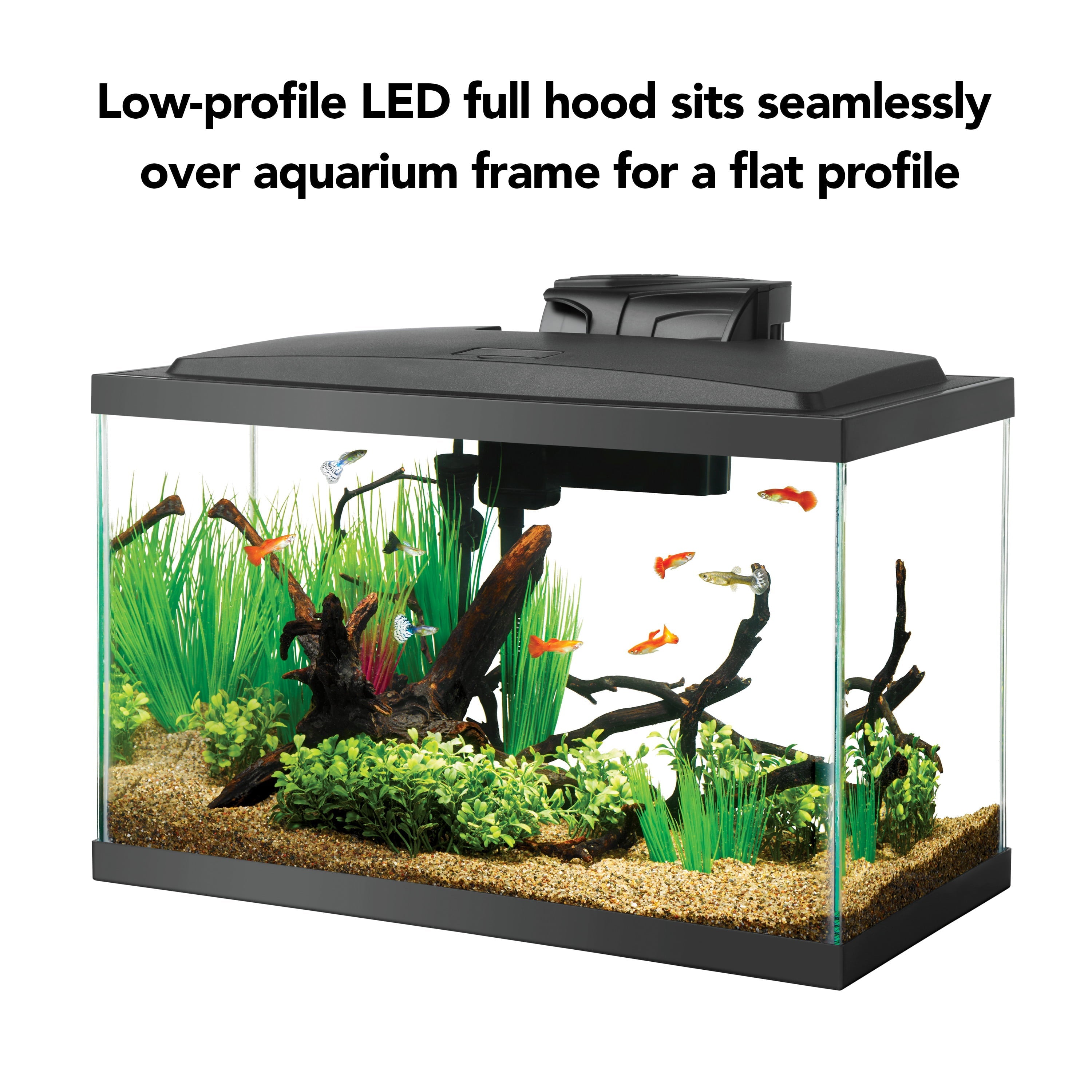 Aqueon Aquarium Starter Kit 10 Gallon Glass Fish Tank LED Lighting Filter and Heater - Image 5